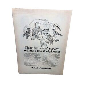 1972 Friends Of Animals Owl Crow Hawks Original Print Ad 70s